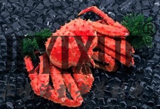 海鲜店巧用会员资格卡，3个月充卡1200万